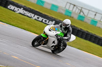 PJ-Motorsport-2019;anglesey-no-limits-trackday;anglesey-photographs;anglesey-trackday-photographs;enduro-digital-images;event-digital-images;eventdigitalimages;no-limits-trackdays;peter-wileman-photography;racing-digital-images;trac-mon;trackday-digital-images;trackday-photos;ty-croes